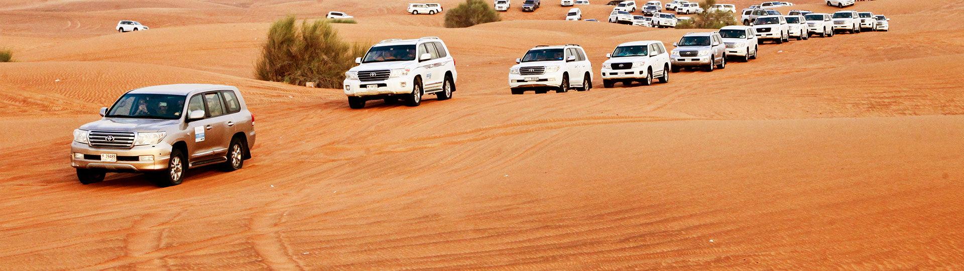 Find Trusted Partner for Driver Hiring & Driving Jobs in Dubai