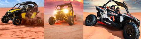 Dune Buggy Safari