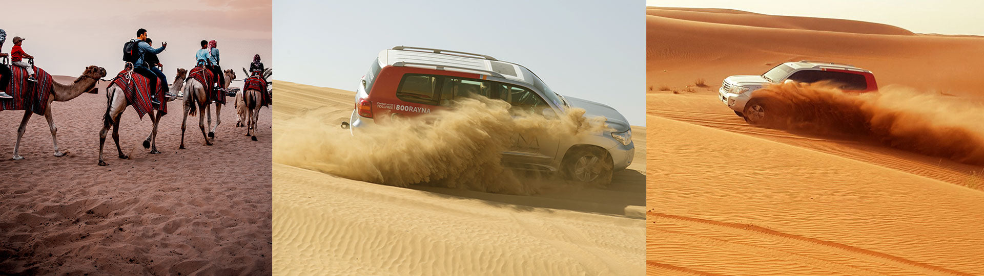 Premium Evening Desert Safari